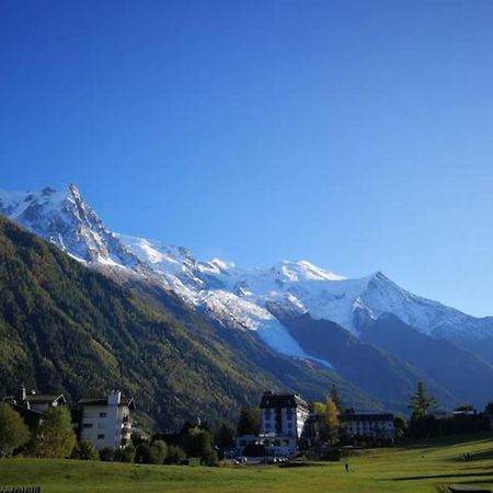 Апартаменти Le Savoy - Terrasse Avec Vue Sur Le Mont-Blanc Шамоні Екстер'єр фото